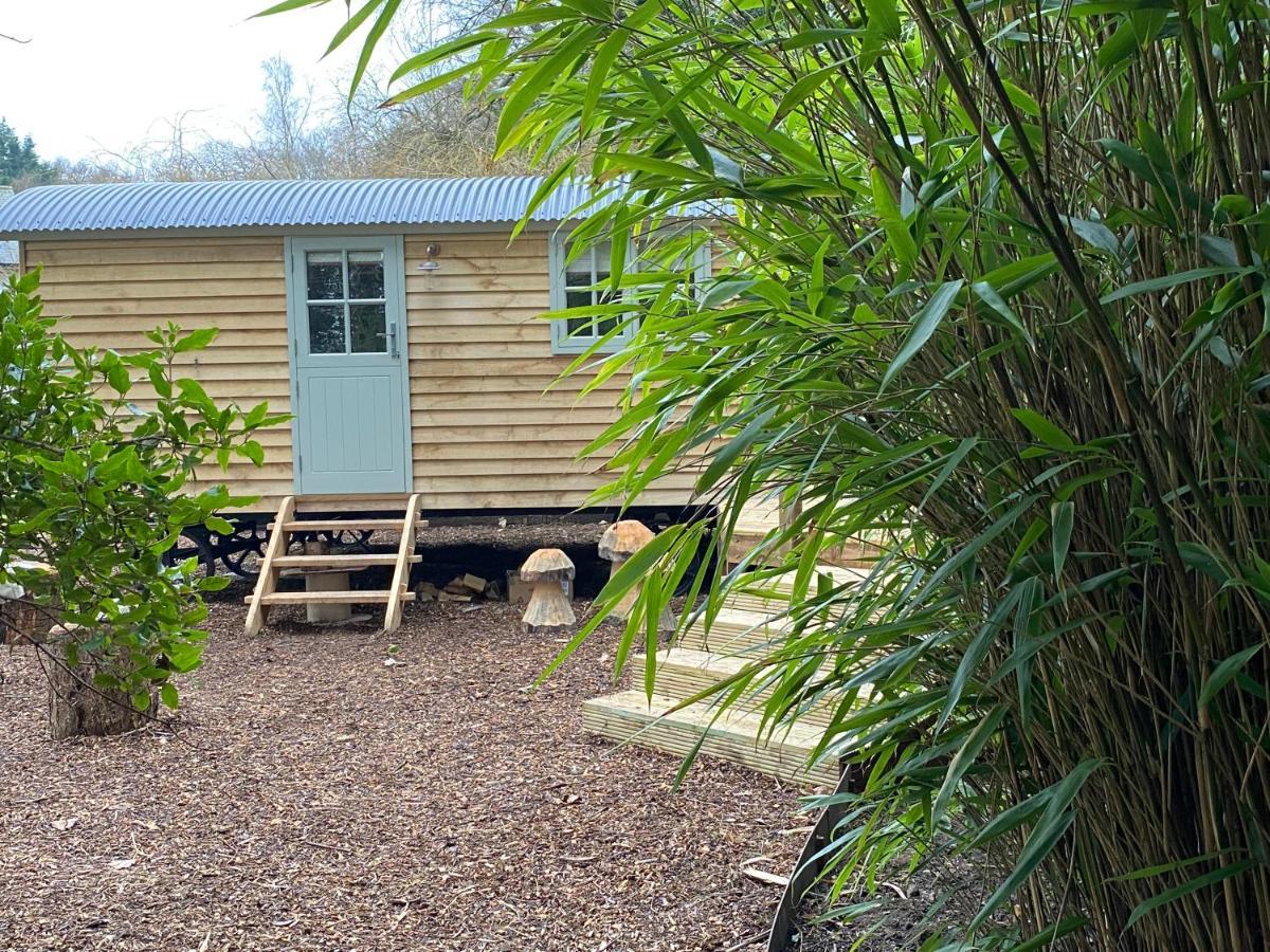 Chez Maurice Luxury Shepherds Hut With Bath And Hot Tub Kelling Экстерьер фото